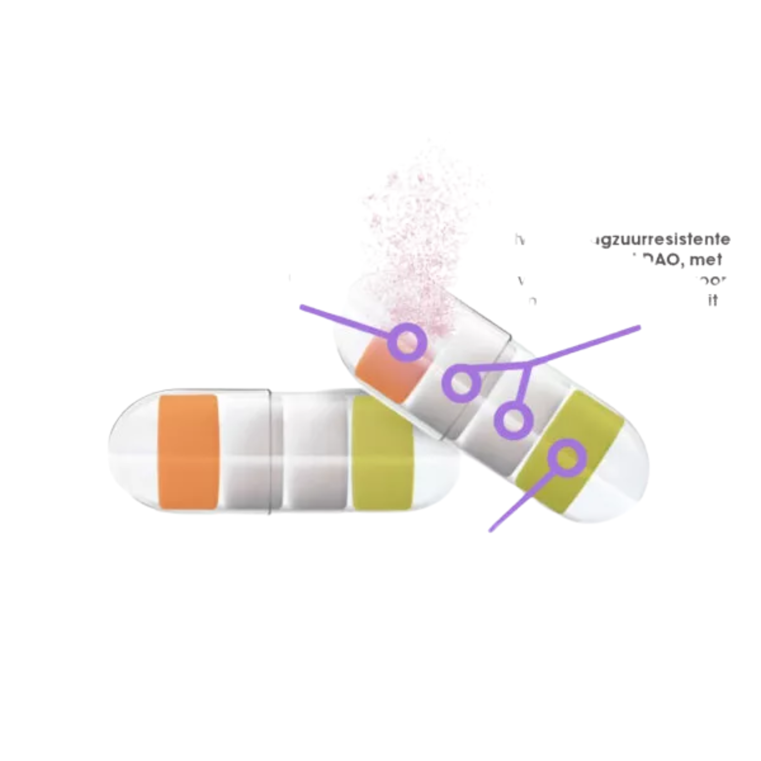 Dao plus Intoleran - Afbeelding 3