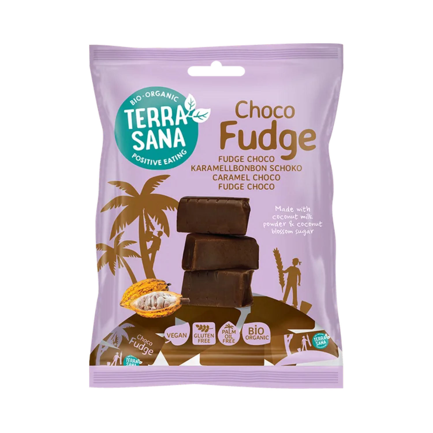 Vegan fudge choco bio Terrasana