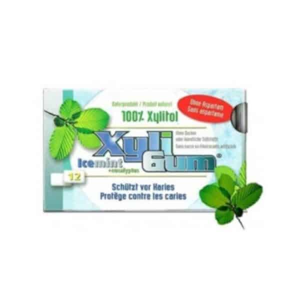 Kauwgom Icemint Xyligum