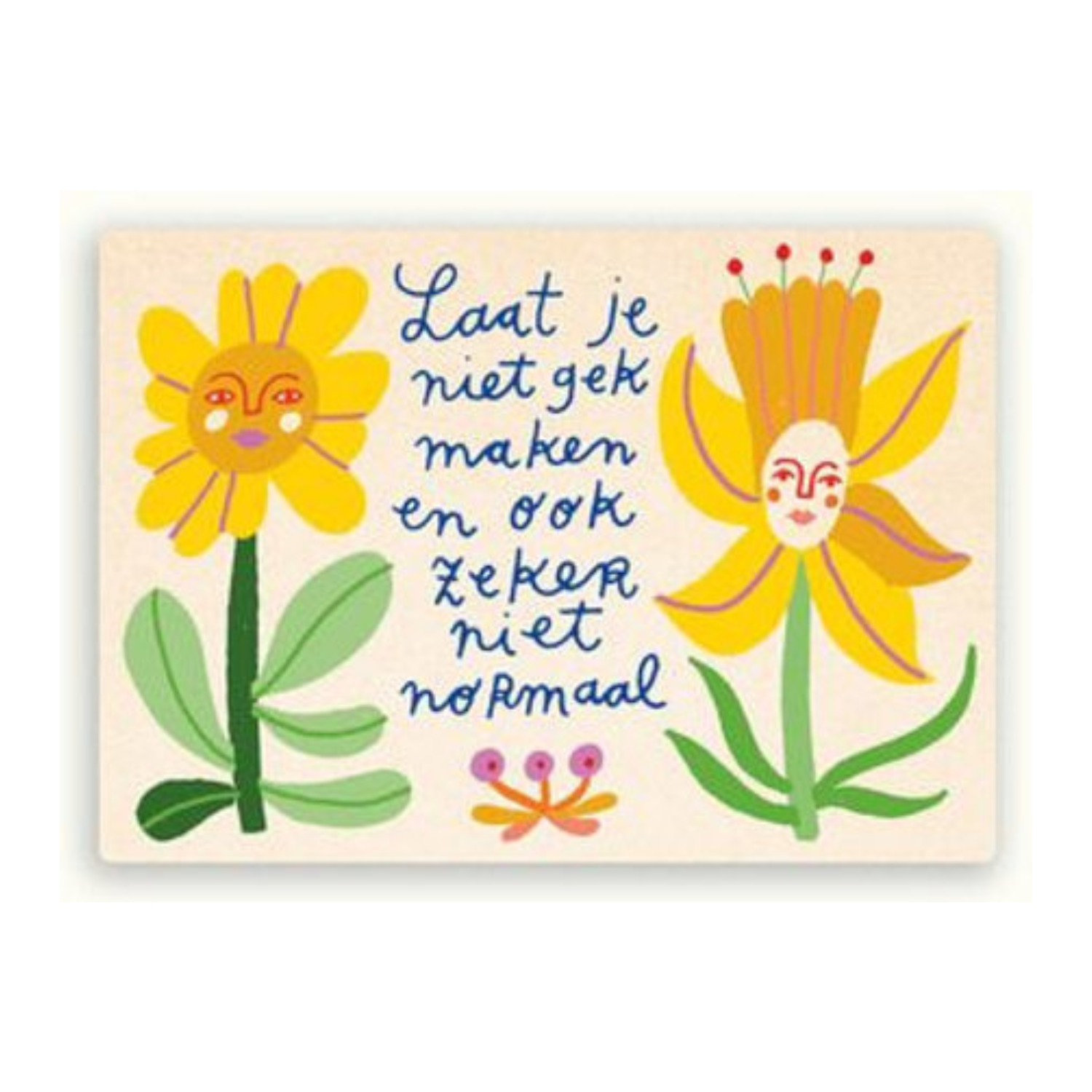 Ansichtkaart 'laat je niet gek maken' ZintenZ