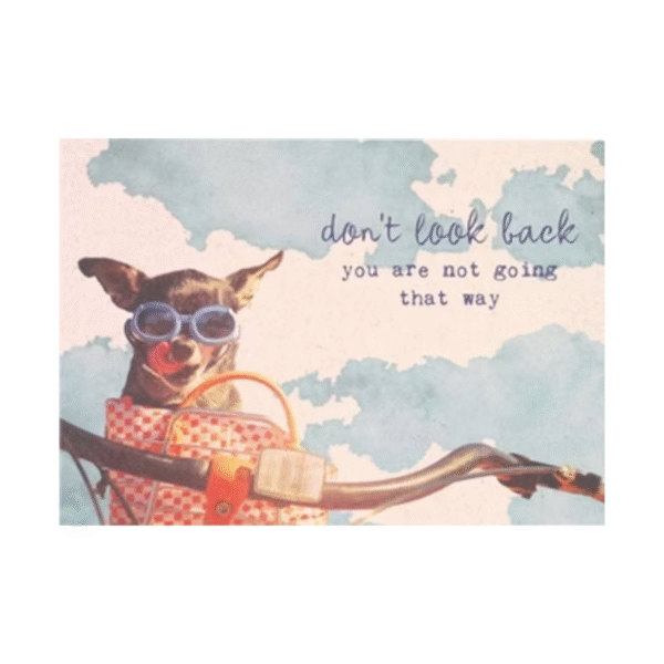 Ansichtkaart 'Hondje op fiets' ZintenZ