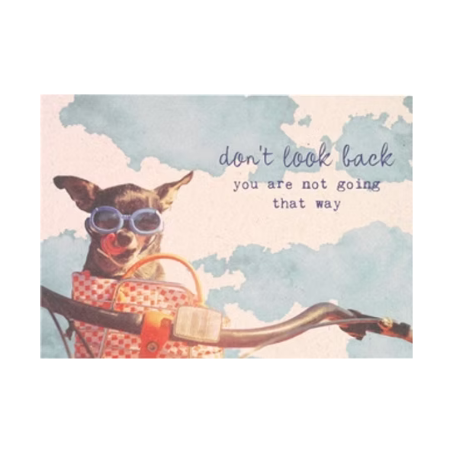 Ansichtkaart 'Hondje op fiets' ZintenZ