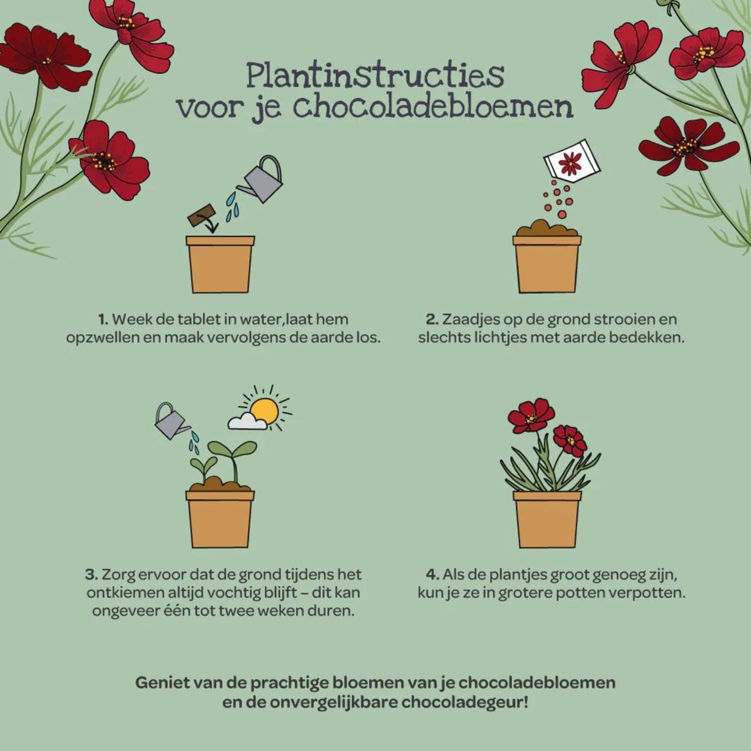 Chocoladebloemen in beker Die Stadtgärtner - Afbeelding 3